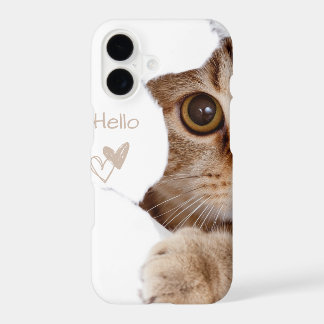 gatinho fofo, coração branco olá