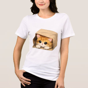 Gatinho Fofo em uma Caixa de Papelão