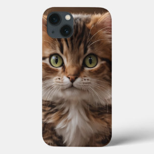 Gatinho Gato