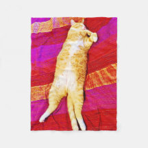 gatinho laranja dormindo no cobertor vermelho de v
