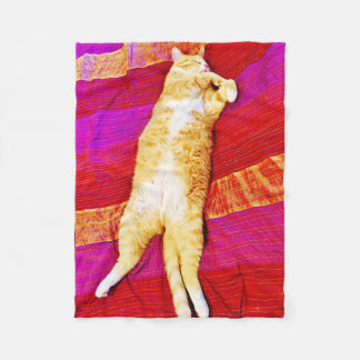 gatinho laranja dormindo no cobertor vermelho de v