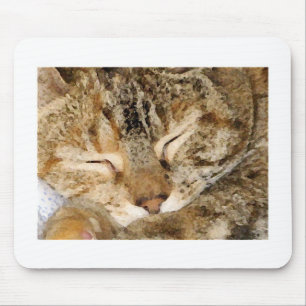 Gatinho Mousepad do sono