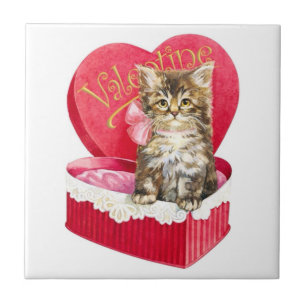Gatinho na caixa de doces