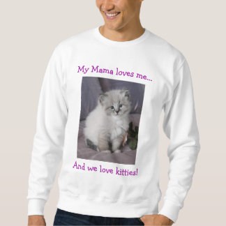 Gatinho na camisa