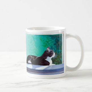 Gatinho na janela original da caneca de café