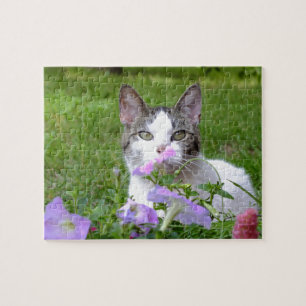 Gatinho na Quebra-cabeça Petunias