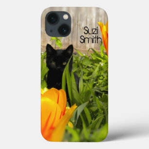 Gatinho Negro no caso de ar no jardim