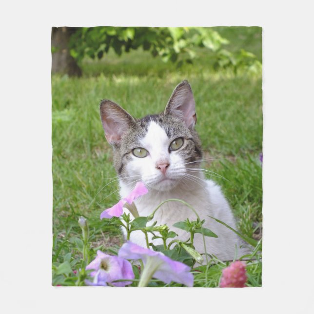 Gatinho no cobertor de Flores (Frente)