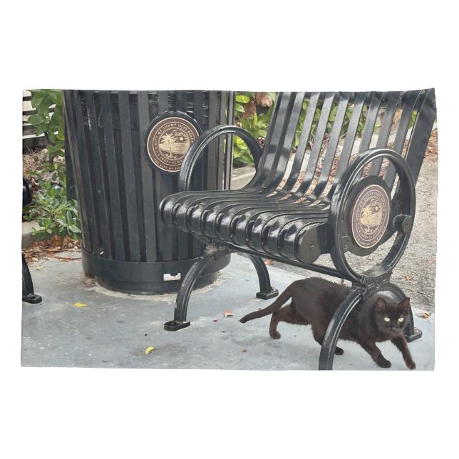 Gatinho no Parque (Verso)