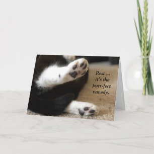 Gatinho Paws Obtenha Bem Cartão