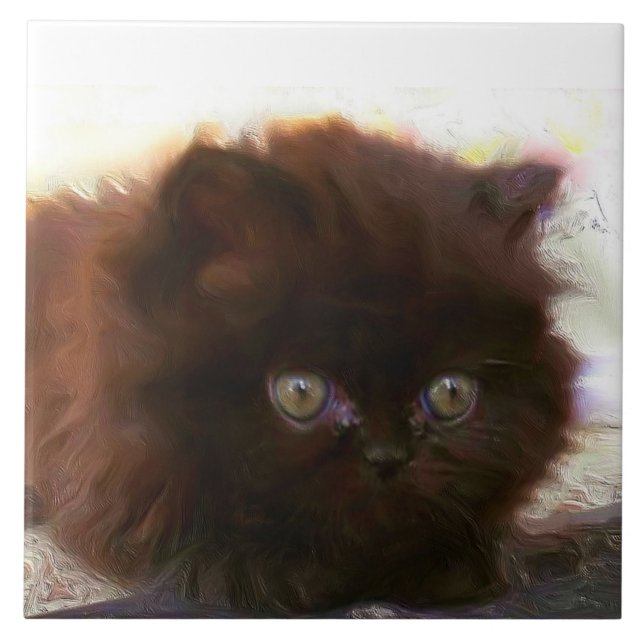 Gatinho persa preto (Frente)