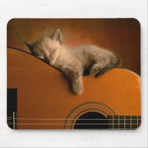 Gatinho que dorme na guitarra Mousepad