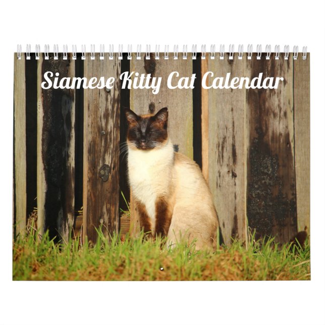 Gatinho Siamês Gatinho Gato - Calendário 2021 (Capa)