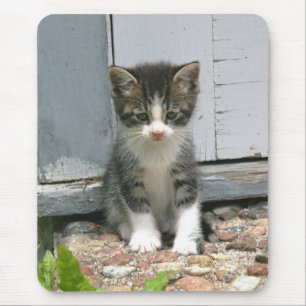 Gatinho triste solitário Mousepad do gato do