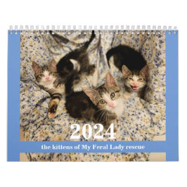 Gatinhos! 2024 Calendário da Minha Senhora Feral K