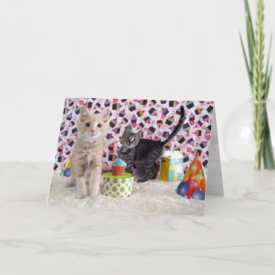 Gatinhos Adoráveis - Cartão de Aniversário de Gato