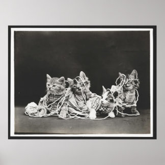 Gatinhos Bonitos Tangidos Na Impressão De Arte De 