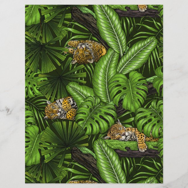 Gatinhos da selva (Frente)