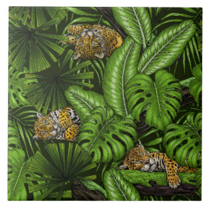 Gatinhos da selva