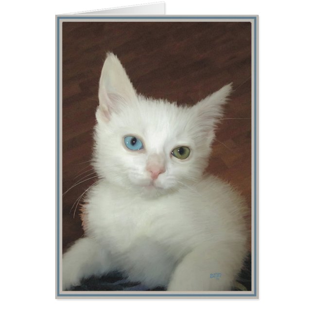 Gatinhos de Cartão PUPs 17 (Frente)