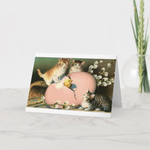 Gatinhos do Victorian e choque do cartão de páscoa