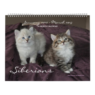 Gatinhos Siberianos 2012 - Calendário 2013