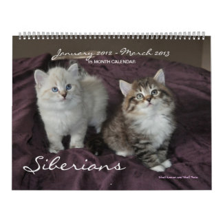 Gatinhos Siberianos 2012 - Calendário 2013
