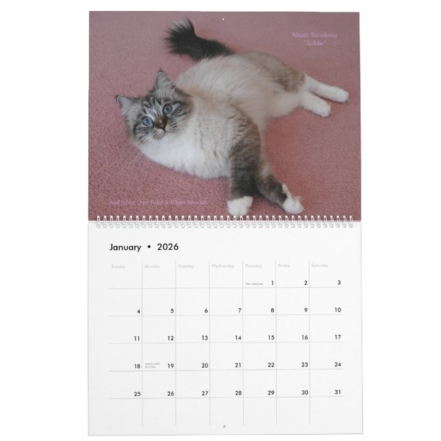 Gatinhos Siberianos 2012 - Calendário 2013 (Jan 2026)