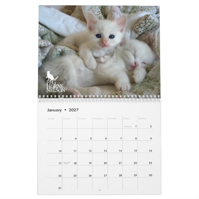 Gatinhos Vol de Ragdoll. Um calendário (Jan 2027)