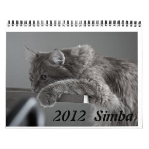 Gato 2012 do calendário