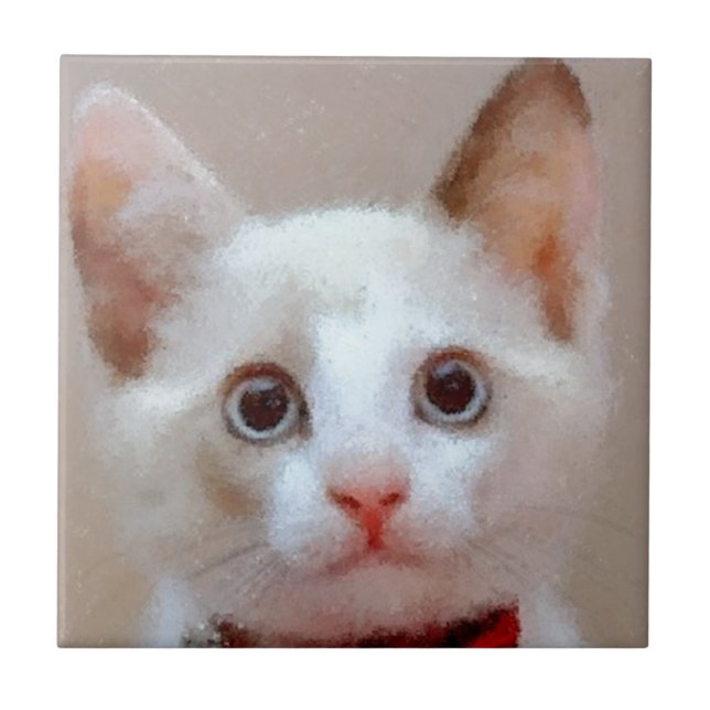 gato 3 (Frente)