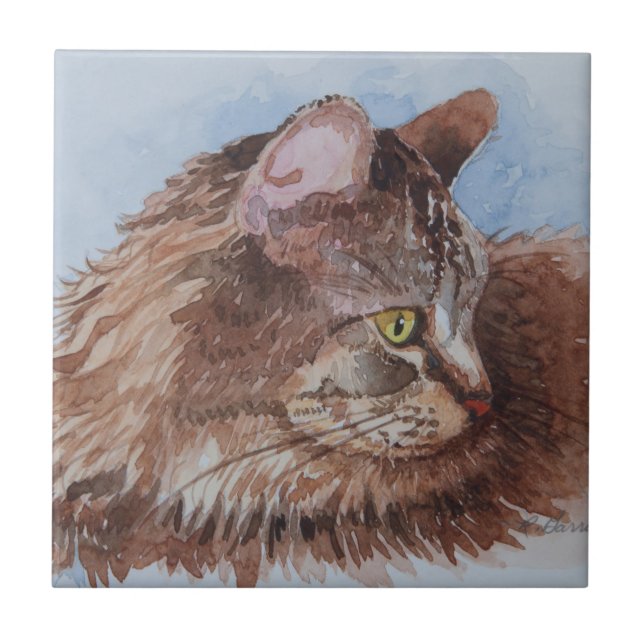 Gato 5352 (Frente)