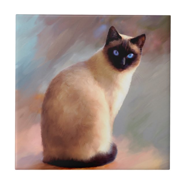 Gato 613 6x6 siamese (Frente)