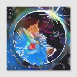 Gato 6 - Elipse solar