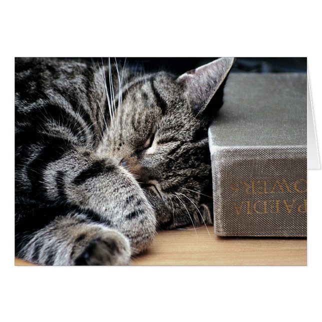 Gato amassado com um bom cartão de livro (Frente Horizontal)