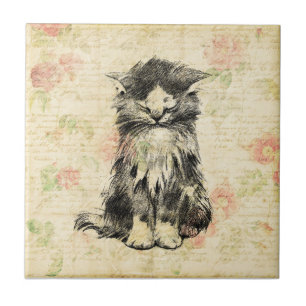 Gato Antiquado de Gatinho Gelado com Design Flor F