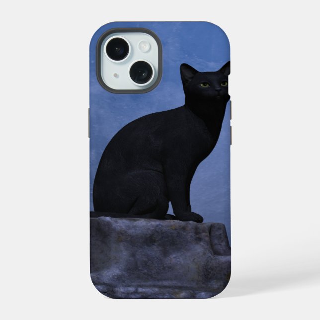 Gato ao Luar (Verso)