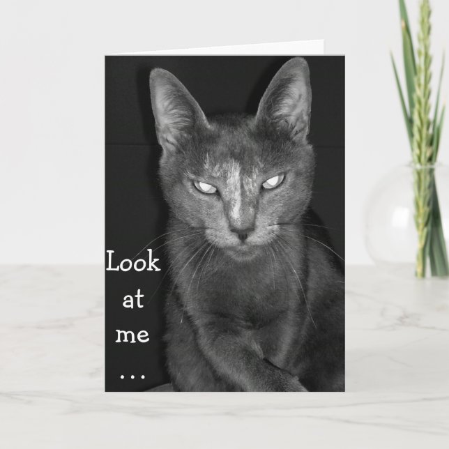 Gato Assustador - Cartão de Aniversário (Frente)