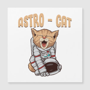 Gato Astro