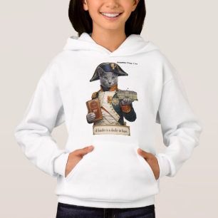 Gato Azul Russo Napoleão Bonaparte