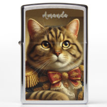 Gato Bem Vestido Nobre