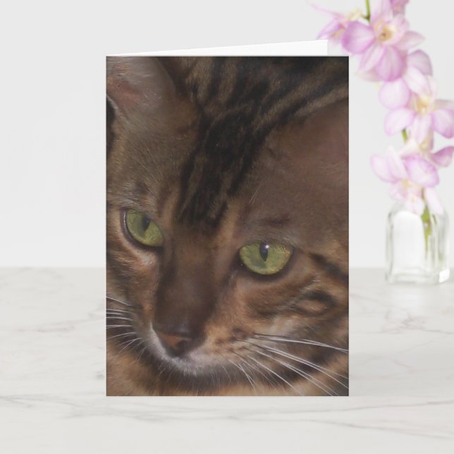 Gato Bengal - Cartão de Boas-Vindas (Orquídea)