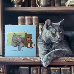 Gato Bonito