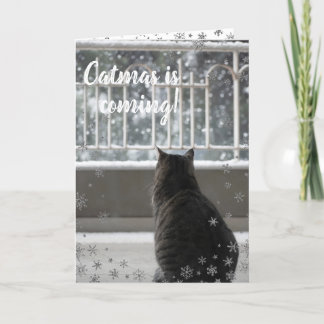 Gato Bonito de Natal no Cartão de Férias de Neve