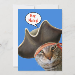 Gato Bonito Fala Como Um Dia Pirata