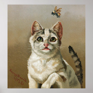 Gato branco do vintage com o poster da arte da