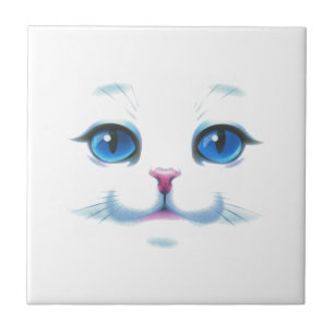 Gato Branco Gelado Olhos Azuis Face