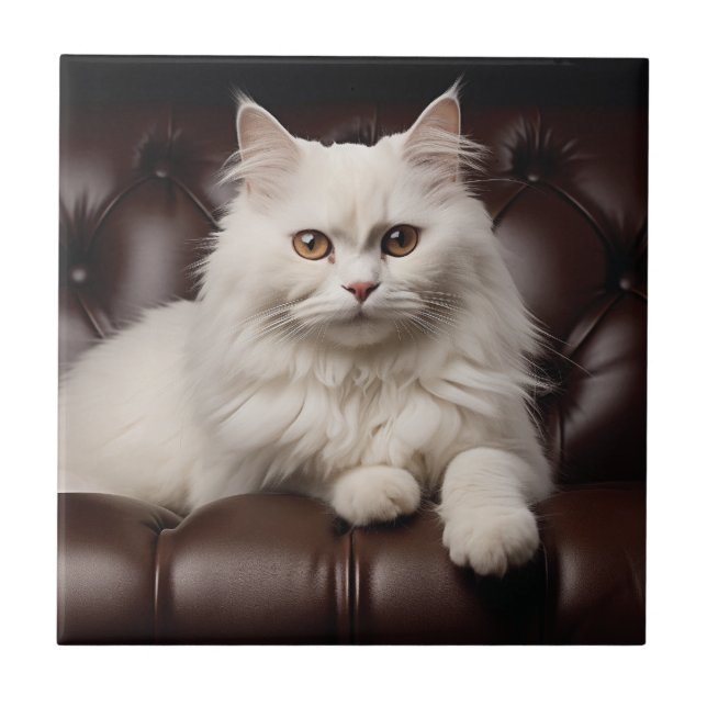 Gato branco majestoso (Frente)