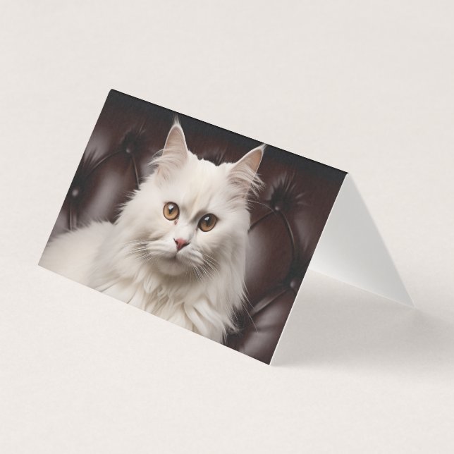 Gato branco majestoso (Frente)