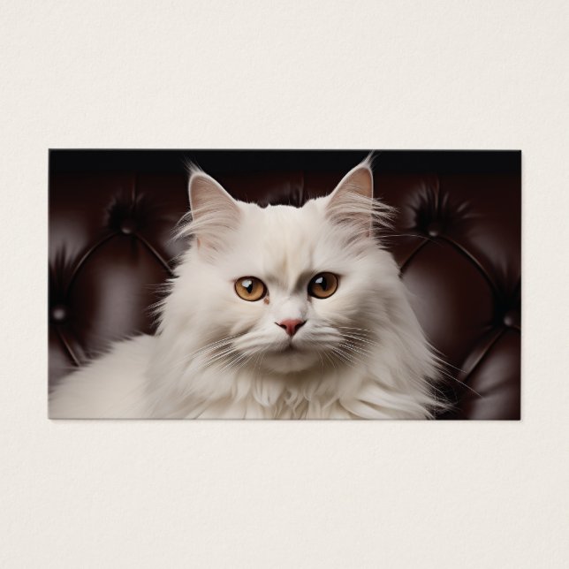 Gato branco majestoso (Frente)